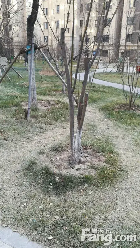 这里的小路静悄悄