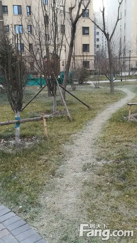 这里的小路静悄悄