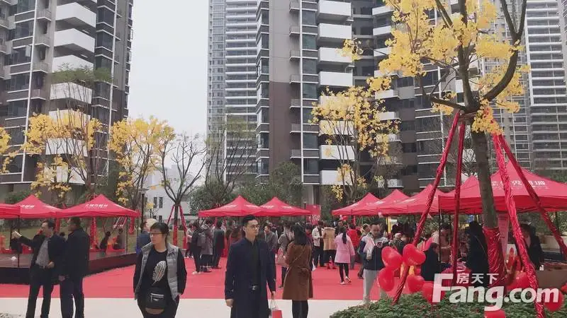 保利领秀前城一期青秀郡交房了