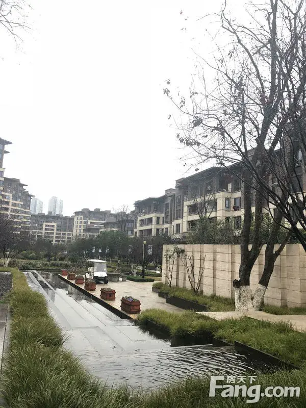 上周去看房,被这个楼盘景色吸引了