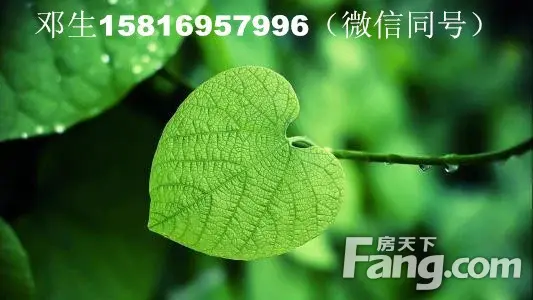 ӱ 40