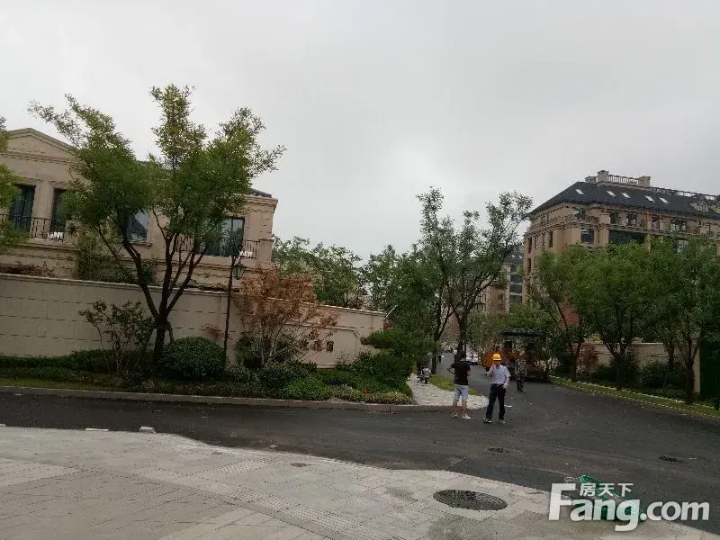 歌尔绿城玫瑰园业主群