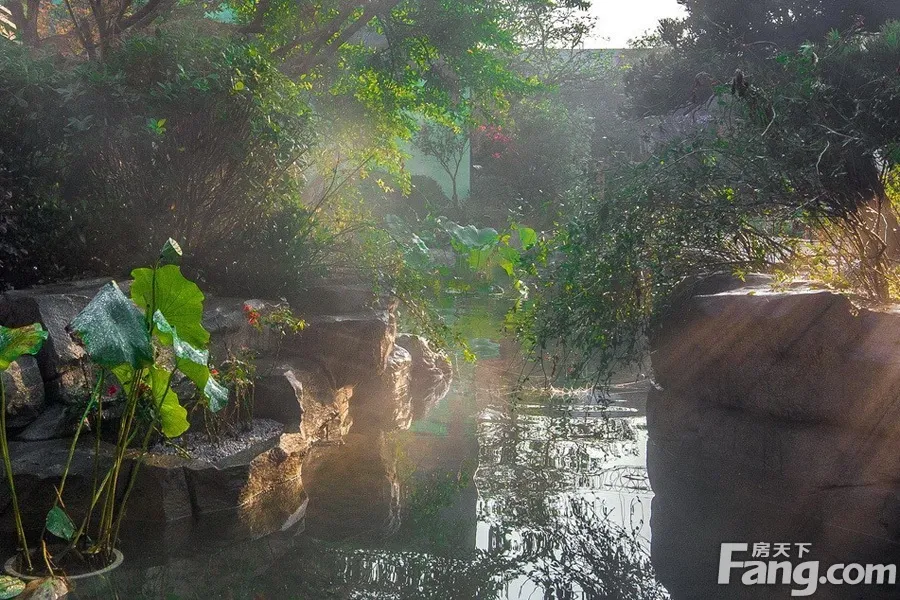 领地锦巷蘭台2室1厅1卫东南朝向2100.00元/月出租