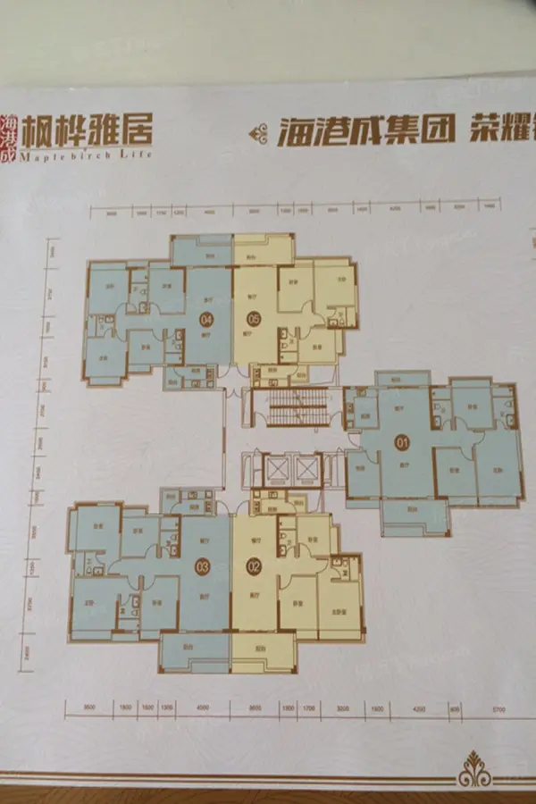 清远新房 新城区楼盘 海港成·枫桦雅居 > 楼盘动态