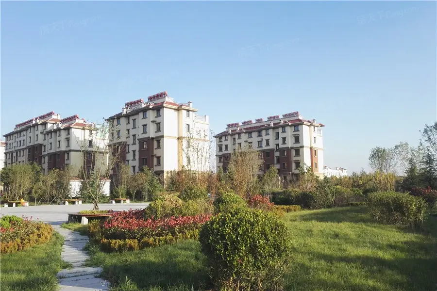 实景图:实景图