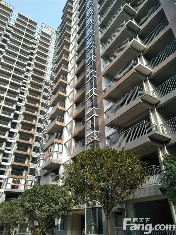 整租·兴旺久居福 3室2厅 南