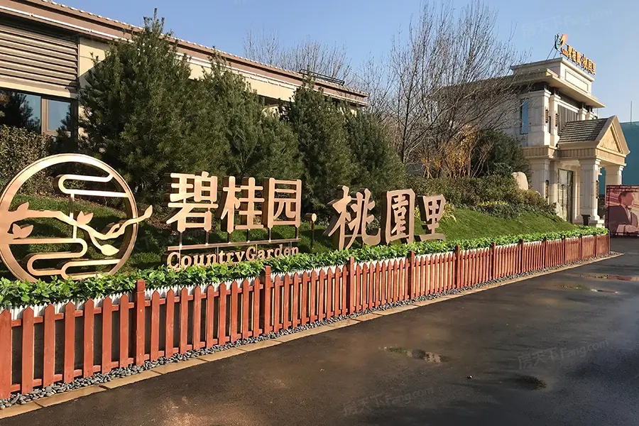 碧桂园桃园里洋房及别墅产品接受咨询