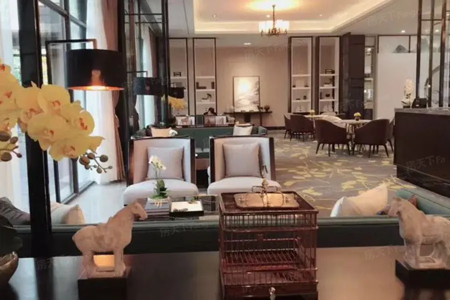 项目现场:示范区公开活动现场