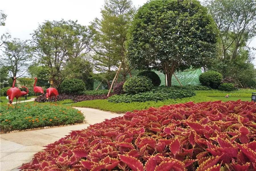 实景图:园林实景图(2018.4.10)