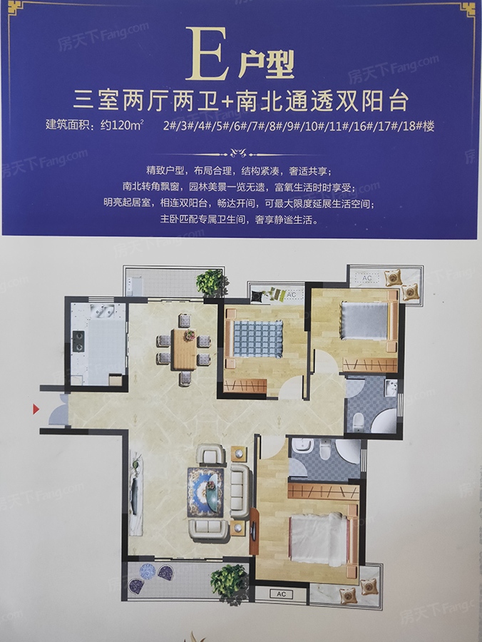 户型图:E
