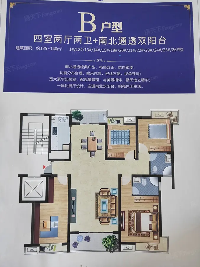 户型图:B