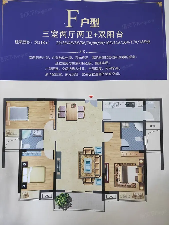 户型图:F