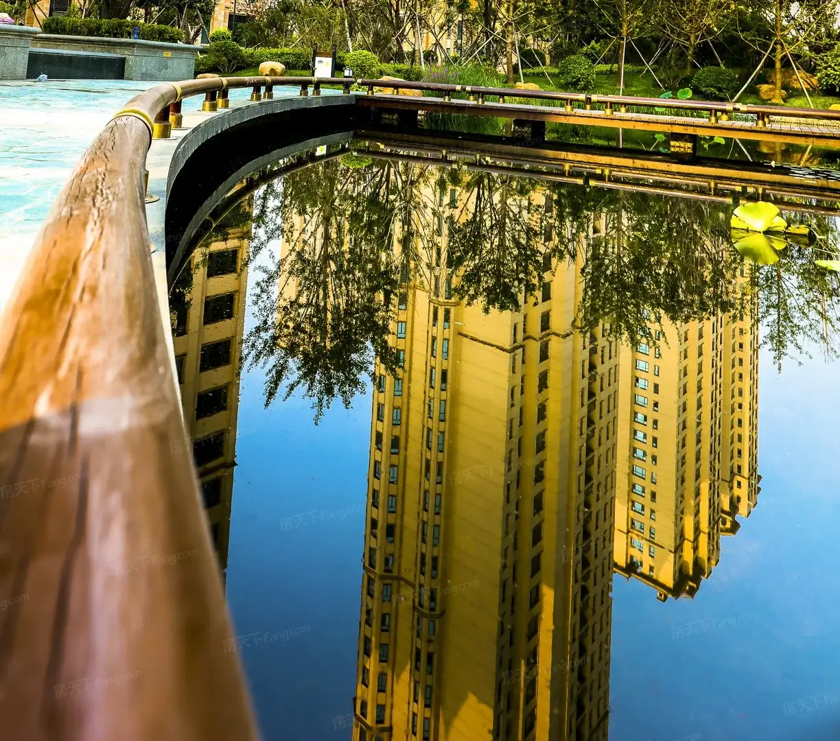 实景图:水景实景