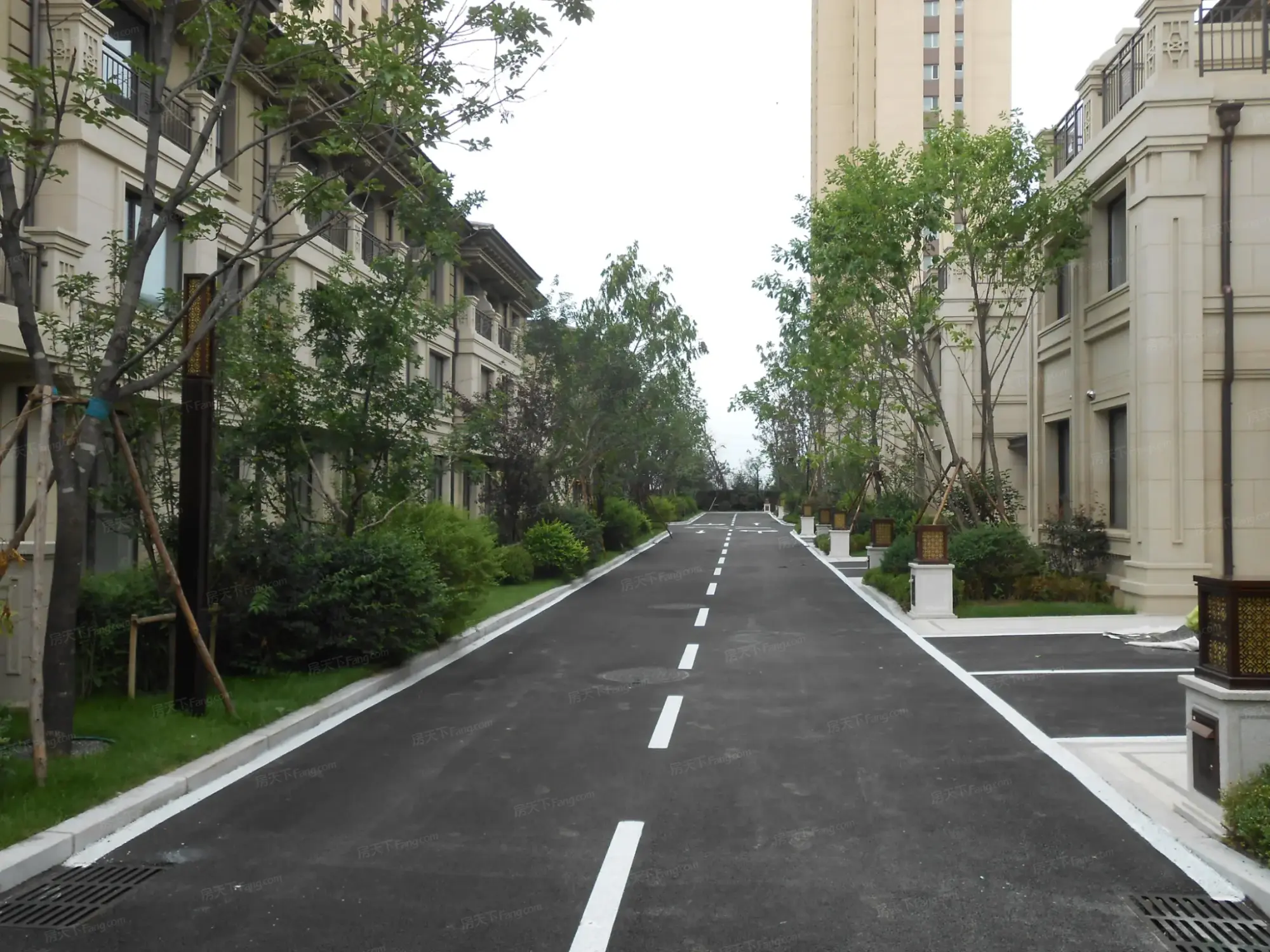 实景图:园区内部车行道路