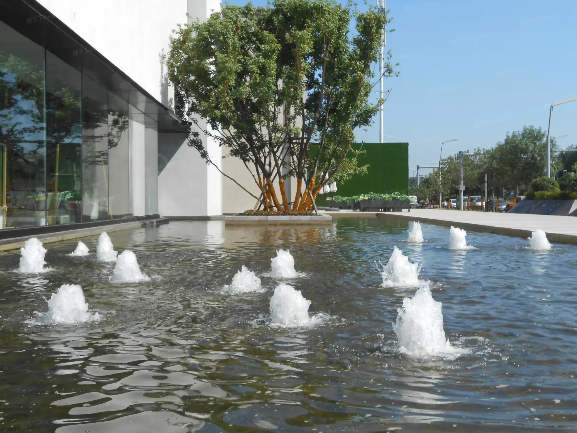 实景图:售楼处前景观水系