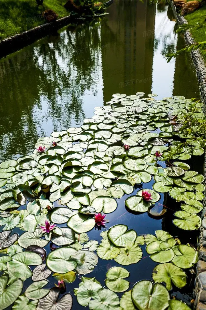 实景图:环境实景