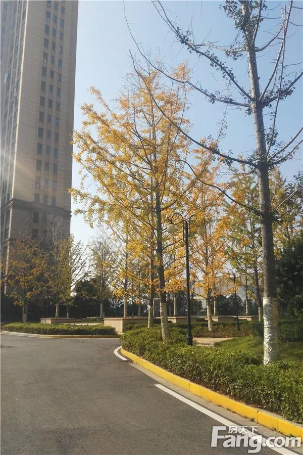 江铃瓦良格5室2厅3卫南朝向2600.00元/月出租