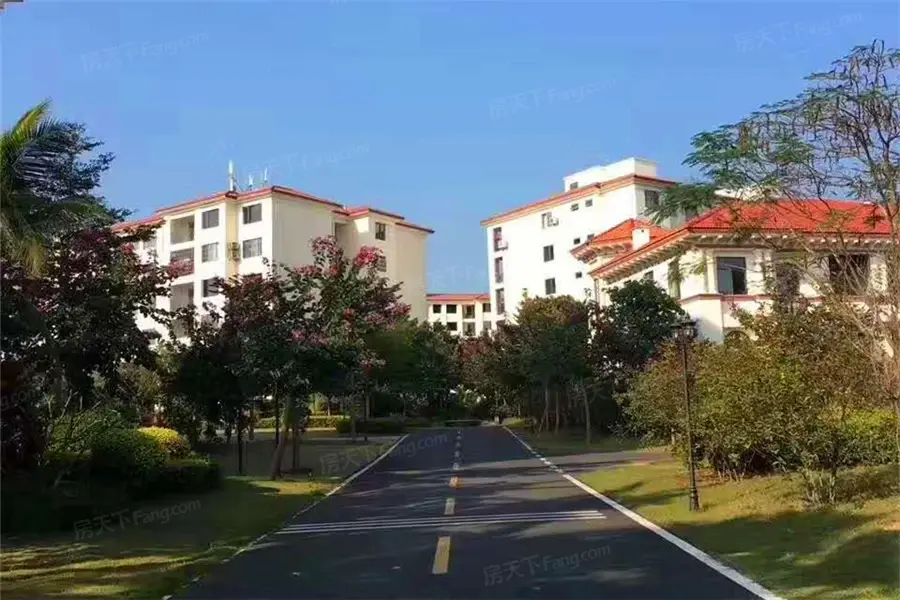实景图:道路园林景观实景图