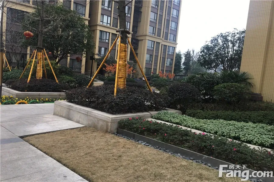 金科中心2室1厅1卫南朝向1900.00元/月出租