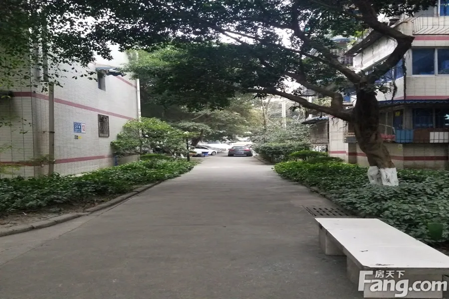 二十一世纪花园二期3室1厅1卫东朝向2500.00元/月出租