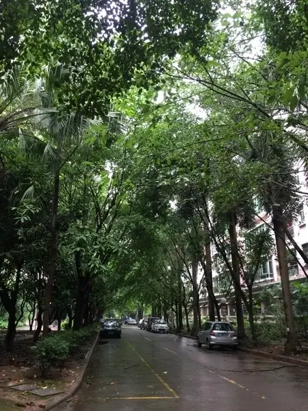 江海花园二手房实景图