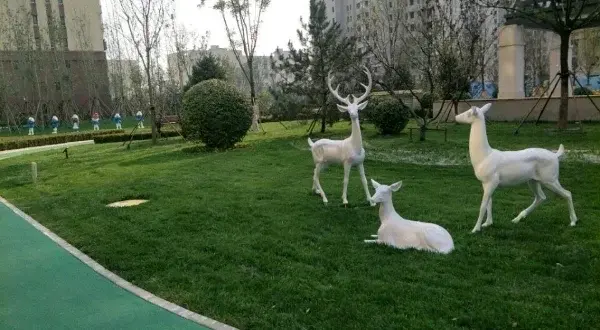 Զǰڽս
