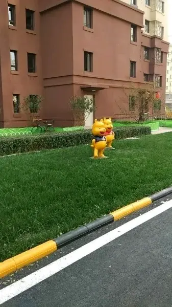 Զǰڽս