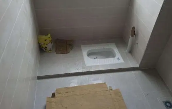 卫生间选马桶好还是蹲坑好?经过对比,才知自己错了30年