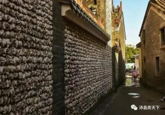 用生蚝壳建房子,网友:这才是"蚝"宅!