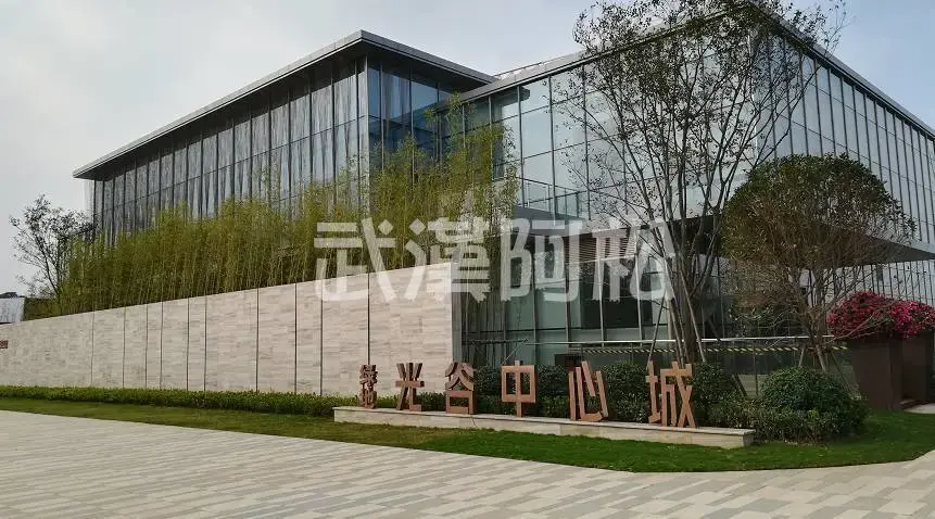 绿地光谷中心城首开已秒光!均价17100!一房一价曝光!本周还会再开!