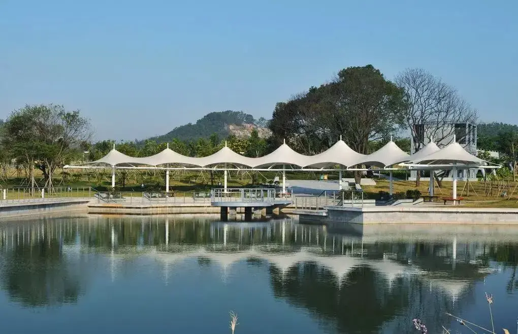 风景越来越美 坪山山多水美 免费的景点也不少 全国最大的湿地公园