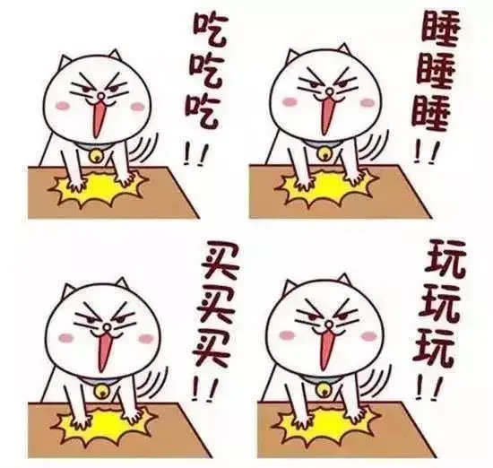 告别了吃吃吃,睡睡睡,买买买,玩玩玩的日子