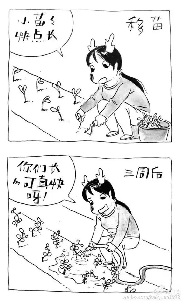 结婚买不起房,这对夫妻找了一个院子,过上黄磊都向往的生活