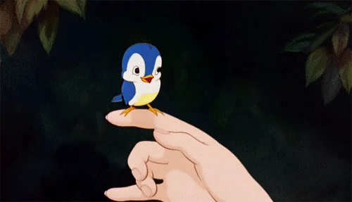 birds show 2018/世/界/珍/稀/百/鸟/奇/珍/展 activity time   广!