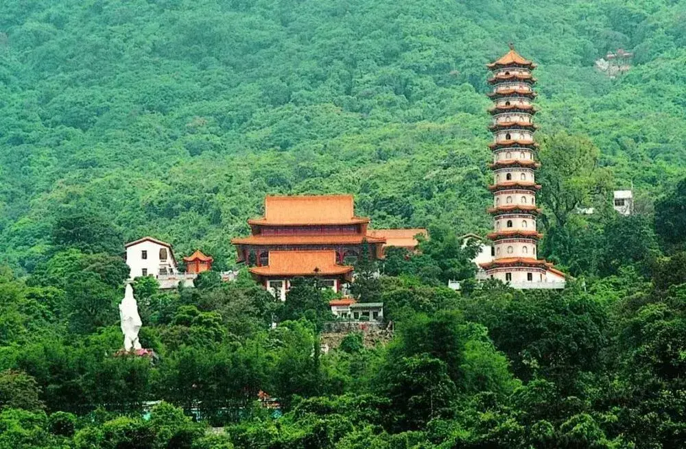 而博罗县统计局数据显示,拥有国家5a级罗浮山景区的博罗县, 全年接待