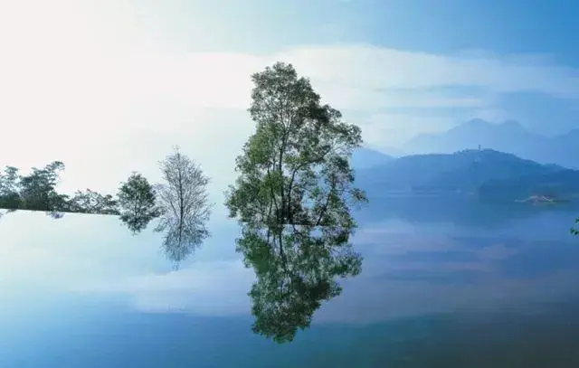 the lalu|天人合一 七星涵碧