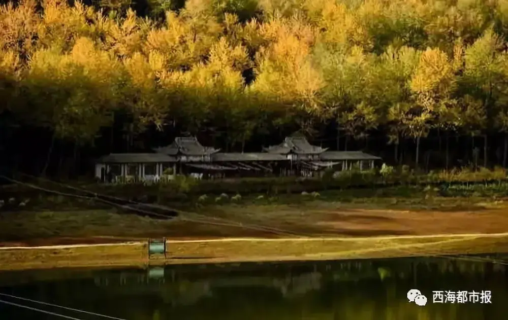 大通长宁镇至景阳镇鲍岗线段