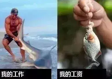 7723元!苏州<span class=