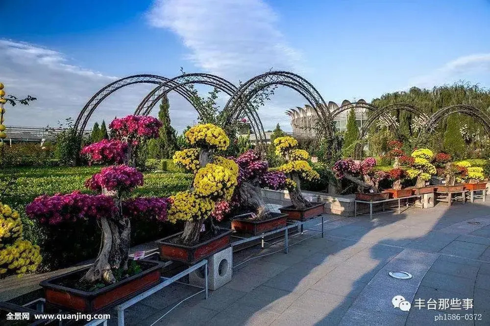 丰台另一条南北动脉再传新消息,这条地铁2020