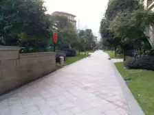 金科公园王府 3室2厅 北