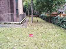 新的起点新的机遇,让我们携手并进创造奇迹般的明天