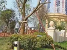 合川 金九城 2室2厅