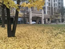棕榈精装大三房,住家安静,视野看游泳池,看湖