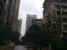 照母山 香港置地约克郡上景一房208万