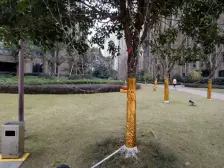 西永 隆鑫花漾汇二房