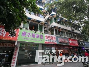 东通顺街26号 3室1厅 东南