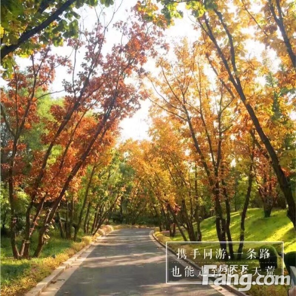 离国贸醉进的城市别墅区,北京大兴亦庄远洋天