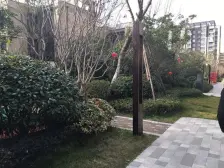 高区 精装2房 带中 央 空调带地暖