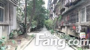 玉双路52号 2室1厅 东南