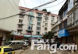 怡庭苑 2室1厅 南